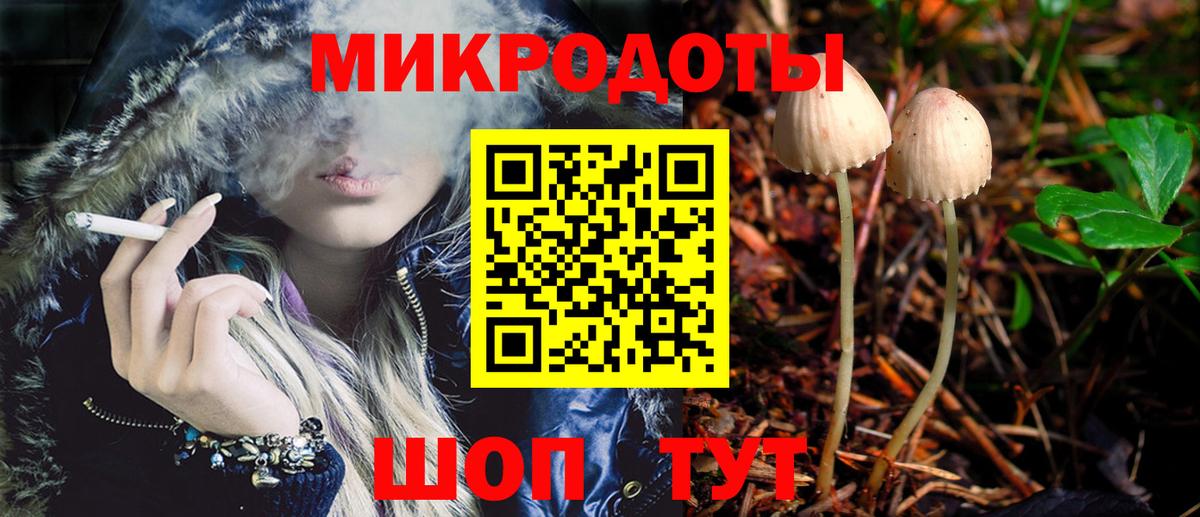 Вышний Волочёк  Галлюциногенные грибы Cubensis  хочу   Вход с VPN 