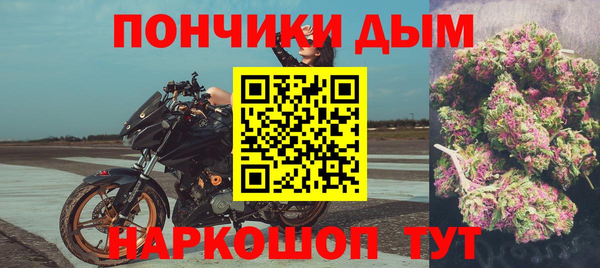 Конопля сатива Вышний Волочёк